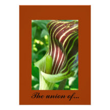L'union de… invitation personnalisable