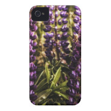 Lupines iPhone 4 Cases