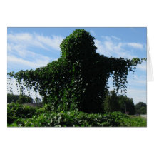 Lutin IMG_1551 de Kudzu Carte De Vœux