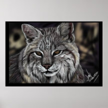Lynx Affiche