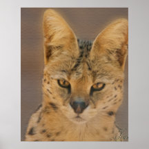 Lynx Affiches