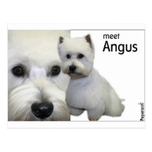 M. Angus Wenskaart
