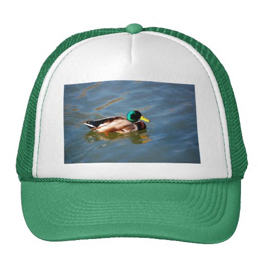 M est pour Mallard - chapeau Casquette De Camionneur