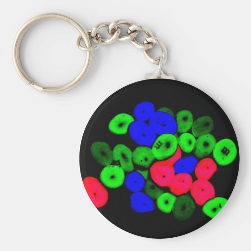 M&M SLEUTEL HANGER