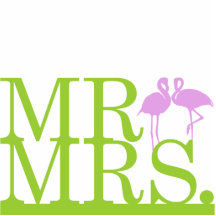 M. & Mevr. Lime & de Cake Topper van de Flamingo's Foto Beeldjes