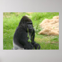 M. Silverback Print