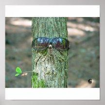 M. Tree Poster