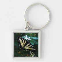 Machaon jaune porte-clefs