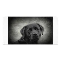 maci cartes de vœux avec photo