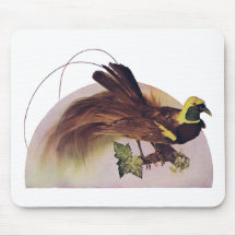 Macreuse, canard, oiseau tapis de souris