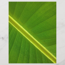 Macro de feuille de banane prospectus personnalisés