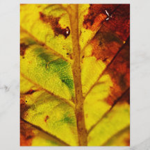 Macro feuille d'automne tract