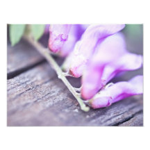 Macro fleur impression photo