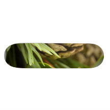 Macro photo de cône sur la guirlande d'avènement skateboards cutomisables