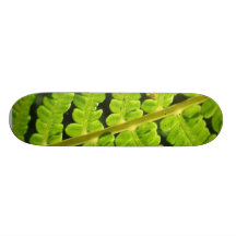 Macro photo de la fougère 4 skateboards personnalisés