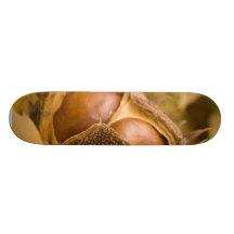 Macro photo de marron de Brown Plateaux De Skateboards Customisés