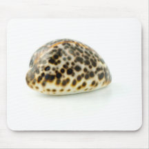 Macro photo d'un coquillage 4 tapis de souris