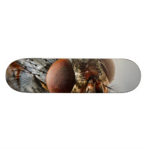 Macro photo d'une mouche planches à roulettes customisées