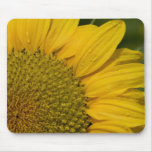 Macro tournesol avec des gouttes de pluie tapis de souris