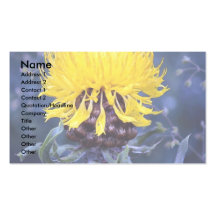 Macroephala de Centaurea, centaurée de globe Cartes De Visite Personnelles