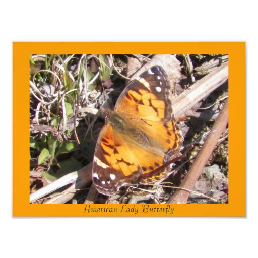 Madame américaine Butterfly Photoprint