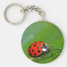 Madame Bug Porte-clés