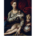 Madonna du rose par Parmigianino Photo En Relief