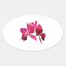 Magenta Orchideeën Ovale Sticker