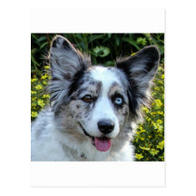 Maggie Carte Postale