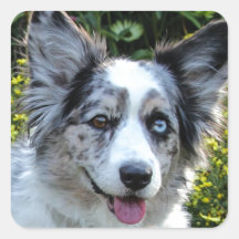 Maggie Vierkant Stickers