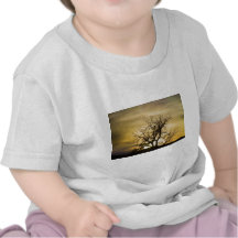 Magische Uur van de Boom van de Zonsondergang van  Shirts