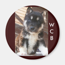 Magnet adoptable de chiot, WCB Aimants Pour Réfrigérateur