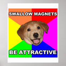 Magnet d'hirondelle de chien de conseil posters