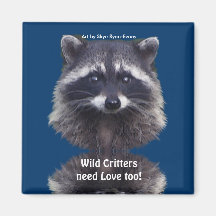 Magnet mignon de faune de raton laveur aimants