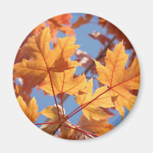Magnet orange d'arbres d'automne de feuille d'auto magnets pour réfrigérateur