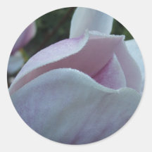 Magnolia Autocollants