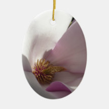 magnolia bloom.png ornamenten