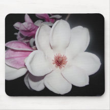 Magnolia Muismat
