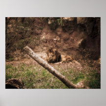 Majestueus Poster