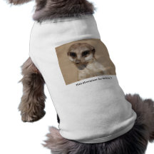 Mâle de terre t-shirts pour toutous