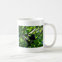 Mâle de Verreaux Sifaka dans l'arbre Mugs À Café