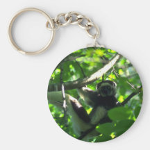 Mâle de Verreaux Sifaka dans l'arbre Porte-clés