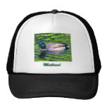 MALLARD CASQUETTE DE CAMIONNEUR