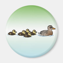Mallard et cinq canetons aimants