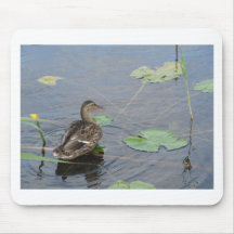 Mallard femelle tapis de souris