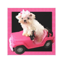 Maltese Puppy van het uitgerekte Canvas _in een Au Stretched Canvas Afdrukken
