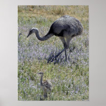 Mama en Baby Plaat