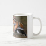 Mandarin Eend Koffie Mokken
