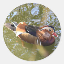 Mandarin Eend Ronde Sticker