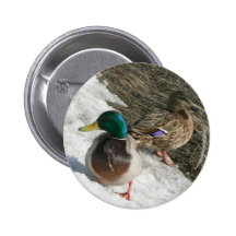 mannelijke en vrouwelijke wilde eenden op sneeuwkn speldbuttons